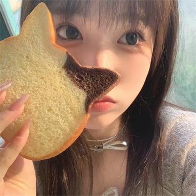 蔷薇少女 序曲